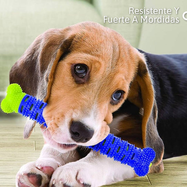 Hueso Dental Multifuncional para Perros: Limpieza y Juego